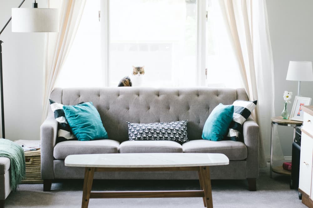 Upholstery Cleaning